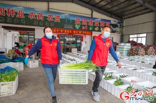 守沪者联盟 丨江苏海安 150吨蔬菜驰援上海